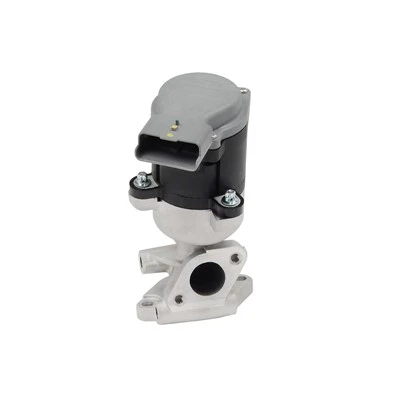 1618.N6 asendus EGR-klapp JAGUAR diisel HOFFER: 7518082