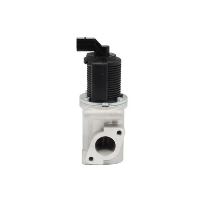 55204235 Auto EGR-klapp LANCIA PIERBURGile: 7.22946.34.0